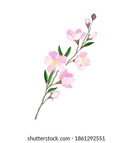 Florent de Branche de fleurs avec Pétales luxuriants et Feuilles vertes Illustration vectorielle