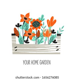 Floriculture, gardening. Different flowers in the box. Vector illustration.