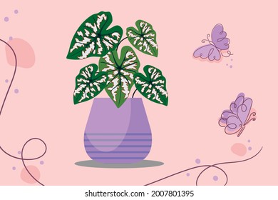 Florida Elise flowers and pots in vector files
