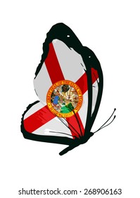 Florida flag butterfly - vector