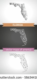 Florida grey vector mosaic 3d polygonal maps