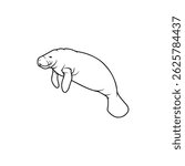 Florida manatee outline icon vector flat design