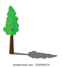 Florida Maple Treedesign by vector illustration