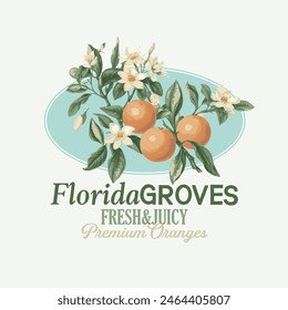 Florida Orange Grove Vector Graphic