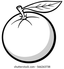 Florida Orange Illustration