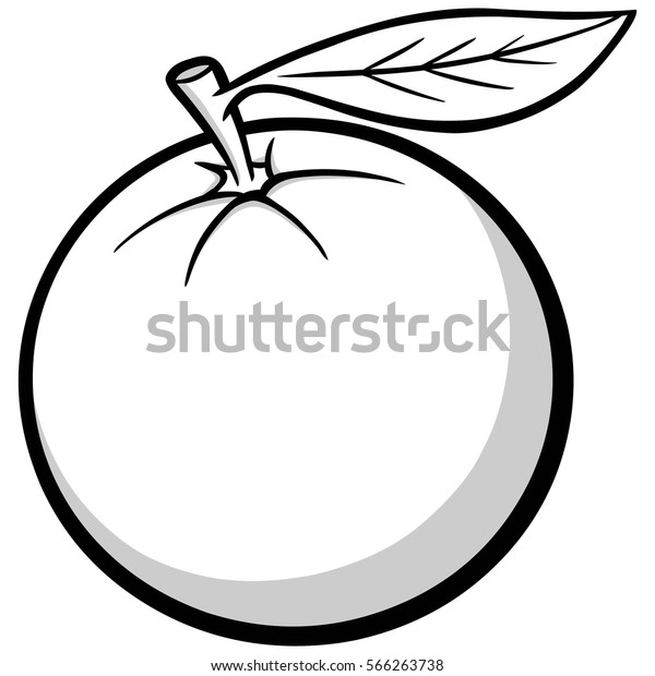 Florida Orange Illustration Stock Vector (Royalty Free) 566263738