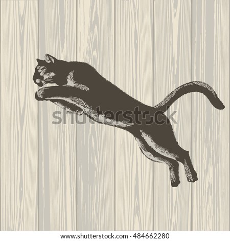 Florida Panther on wooden background, illustration, vector 