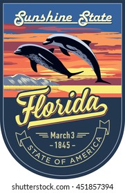 Florida state emblem, Dolphin, sunset on a blue background