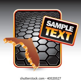 florida state shape on black hexagon template