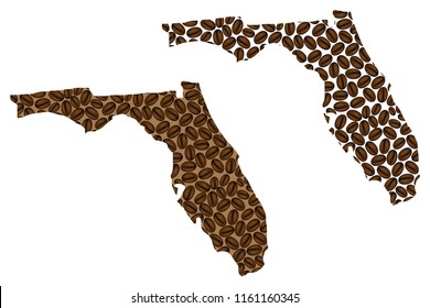 Florida (United States of America, The Sunshine State) -  map of coffee bean, Florida map made of coffee beans,