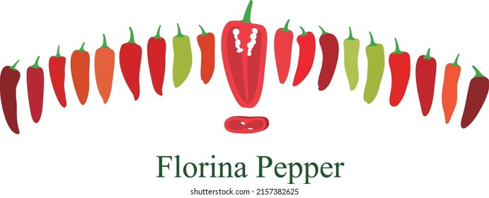 Florina pepper flat icon set vector illustration