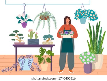 Florist caring for indoor plants, flower shop vector illustration. Young woman in a flower center is holding a pot of violets. flowers, succulents, bonsai in houseplant store.