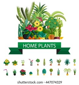 Florist shop.Plants composition.Flower store flat design.