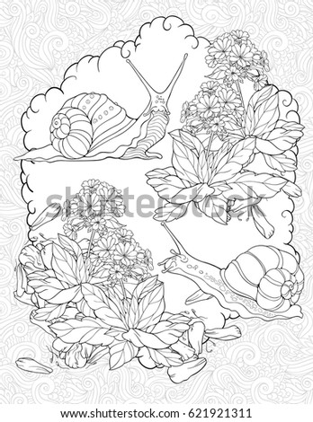 Floristic coloring page with two snails