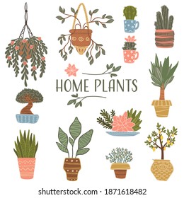 Floristic composition and flowers potted in pots. Home plants and flowers with lush greenery and leaves. Decoration for home interior, orangery or greenhouse houseplant. Vector in flat style