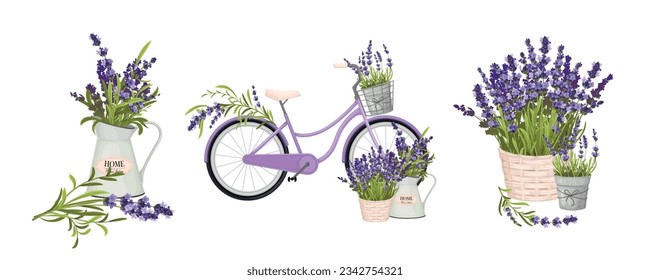 Floristic compositions with lavender twigs in pots jug and as decor of bicycle realistic vector illustration