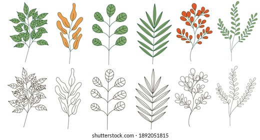 Floristic Set. Collection of colored branches and their silhouettes on a white background. Design element for cards, invitations, posters, posters, backgrounds.