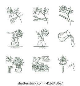 Floristic Vector Icons | Flower care signs in sketch style isolated on white background