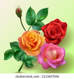 Floristry. A bouquet of roses on a branch. Vector illustration of realistic roses of different colors with a branch of an unopened bud on a light background. Postcard, banner, poster.