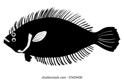 flounder