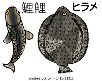 Flounder and carp. In Japanese "Flounder", "Carp Koi"