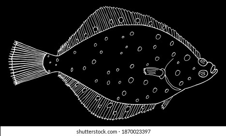 Flunder Fisch handgezeichnet. Weiße Kontur von Plattfischen auf schwarzem Hintergrund. Vektorgrafik. 