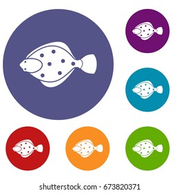 Flounder fish icons set in flat circle reb, blue and green color for web