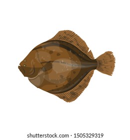 Flounder fish image. Vector illustration isolated on white background