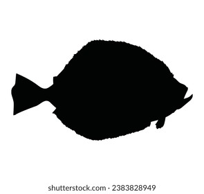 Flounder Fish (Paralichthys) Silhouette Found In Map Of Northern Atlantic and Pacific Oceans.