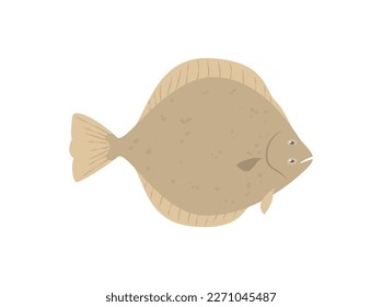 Flounder or flatfish living at bottom of oceans, flat vector illustration isolated on white background. Flounder sea fish icon or symbol for fishery and seafood.