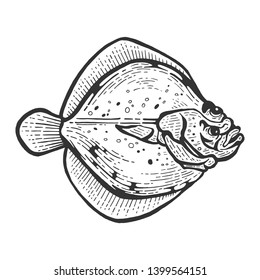 Flounder flatfish plaice fish animal sketch engraving vector illustration. Scratch board style imitation. Black and white hand drawn image.