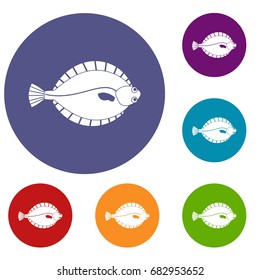 Flounder icons set in flat circle red, blue and green color for web