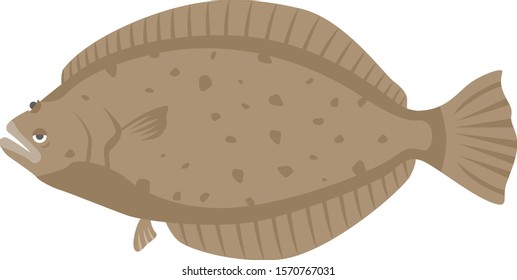 Flounder Illustration.
Illustration of fish.
