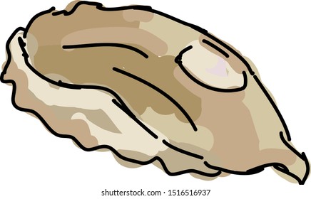 Flounder, illustration, vector on white background.