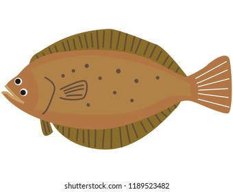 flounder Seafood seafood