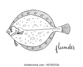 Flounder. Seafood design elements. Seafood / fish menu, poster, label etc. Hand drawn ink sketch illustration. Vector illustration