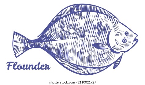 Flounder sketch. Flat ocean fish. Sea bottom animal