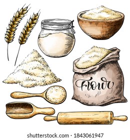 Flour colourful sketch set, vintage food illustration.	