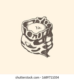 Flour or grain sack, illustration in vector. Drawn farmer bagful in engraving style.