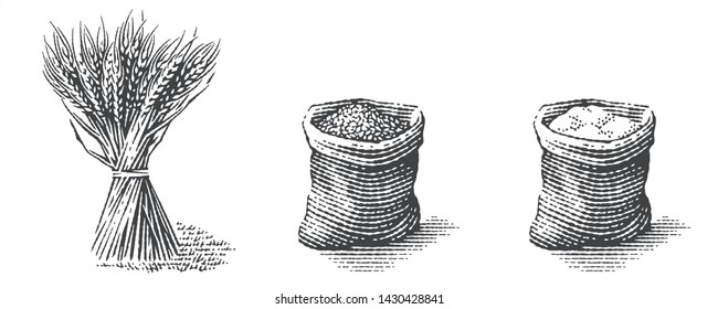 Flour and malt in burlap bag with sheaf  of dry wheat. Hand drawn engraving style illustration.