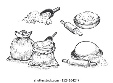 Flour vector hand drawn set illustration. Engraving style.