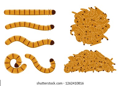 Flour worms vector cartoon set isolated on white background.