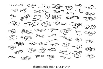 Flourish Calligraphy swirls  hand drawn cursive vector collection. Set of floral vintage decorative ornaments. 