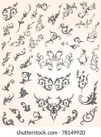 Flourish Collection