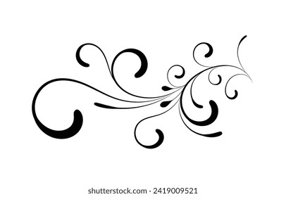 Flourish design elements vector illustration design.