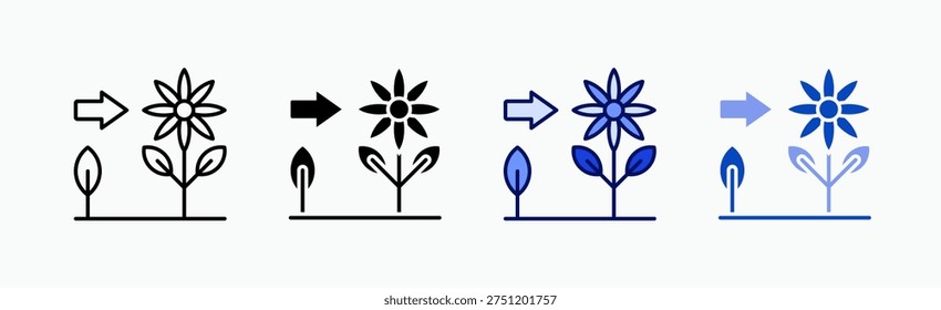 Flourish Icon Sheet Multiple Style Collection Isolated Vector