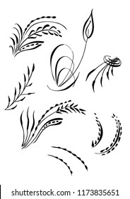 Flourish swirl ornate decoration for pointed pen ink calligraphy style then tracing to vector. Quill pen flourishes. For calligraphy graphic design, postcard, menu, wedding invitation, romantic style.
