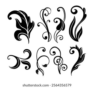 Flourishes Vectors Ornament on Black Colour