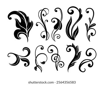 Flourishes Vectors Ornament on Black Colour