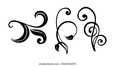 Flourishes Vectors Ornament on Black Colour